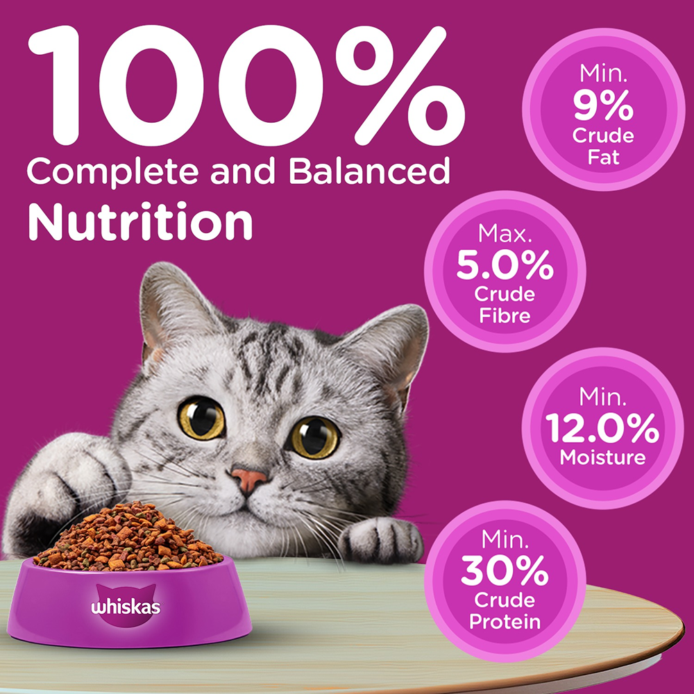 Whiskas 1+ Adult Dry Cat Food with Chicken – Complete & Balanced Nutrition for Adult Cats (300g)