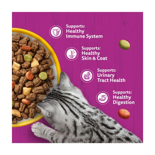 Whiskas 1+ Adult Dry Cat Food with Chicken – Complete & Balanced Nutrition for Adult Cats (300g)