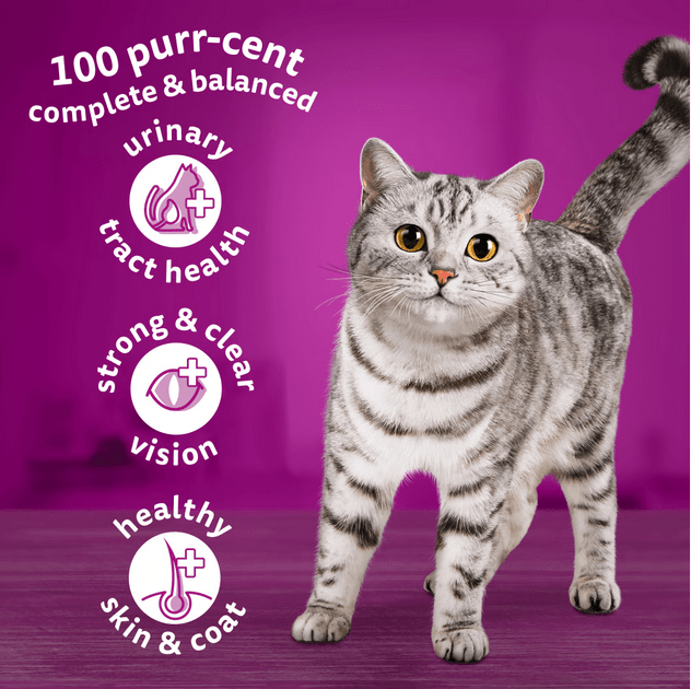 Whiskas 1+ Adult Dry Cat Food with Chicken – Complete & Balanced Nutrition for Adult Cats (300g)