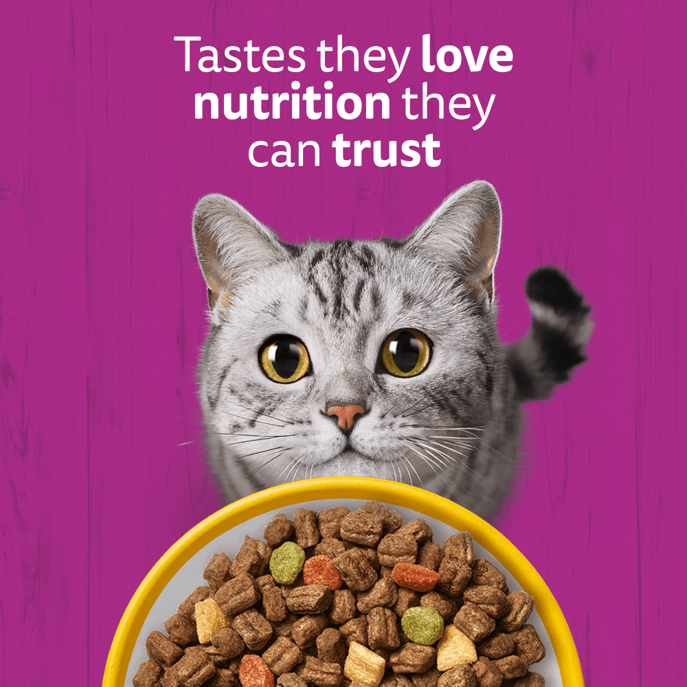 Whiskas 1+ Adult Dry Cat Food with Chicken – Complete & Balanced Nutrition for Adult Cats (300g)